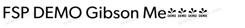 FSP DEMO Gibson Me字体转换 FSP DEMO Gibson Me字体转换